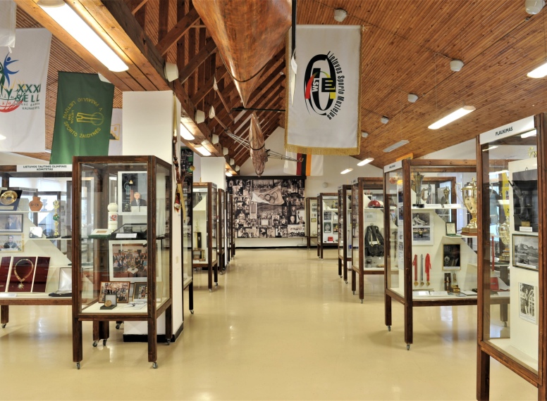 „Nuostabioji Lietuvos sporto istorija“ (10–15 m. vaikams)